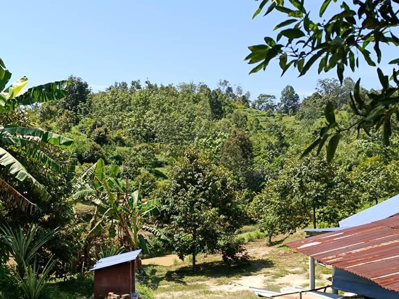 Agricultural Land for Sale in Gerik (Perak) - Soon Jie Chua - Exterior - PropertyGuru.com.my