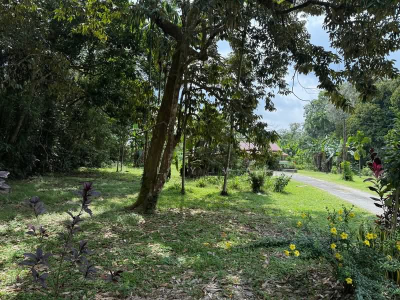 Agricultural Land for Sale in Kampung Tanjung Kupang (Gelang Patah) - Kelly Wai - Exterior - PropertyGuru.com.my