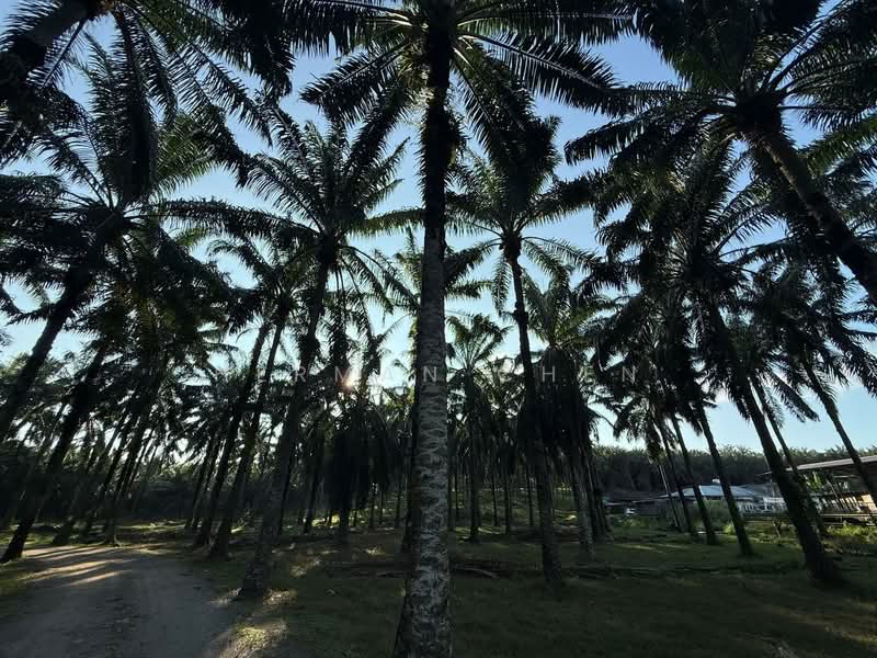 Tanah Perindustrian untuk Dijual di Senai (Johor) - Herman Chen - Exterior - PropertyGuru.com.my
