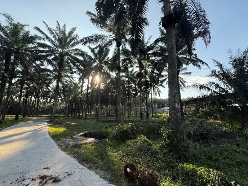 Tanah Perindustrian untuk Dijual di Senai (Johor) - Herman Chen - Exterior - PropertyGuru.com.my