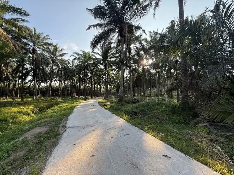 Tanah Perindustrian untuk Dijual di Senai (Johor) - Herman Chen - Exterior - PropertyGuru.com.my