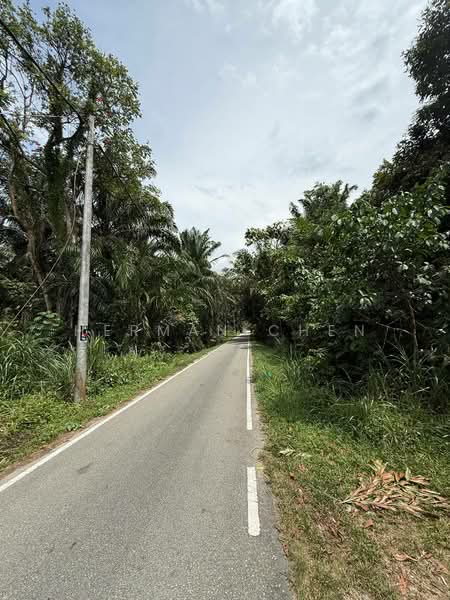 Tanah Pertanian untuk Disewa di Ulu Tiram (Johor) - Herman Chen - Exterior - PropertyGuru.com.my