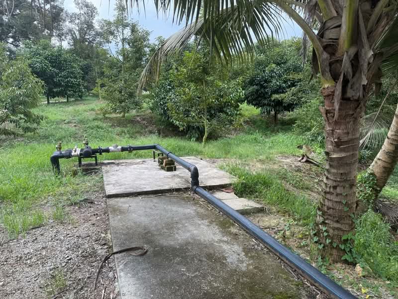 Tanah Pertanian untuk Dijual di Plentong (Johor) - Kelly Wai - Exterior - PropertyGuru.com.my