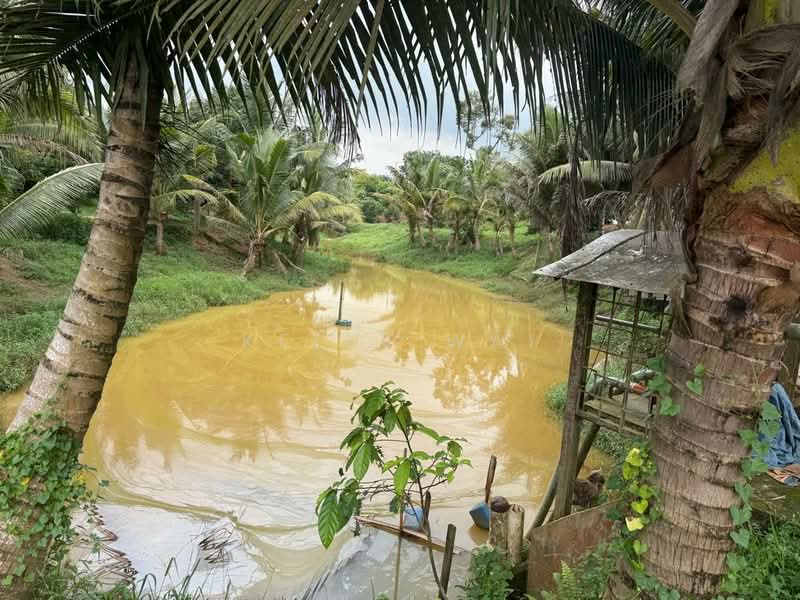 Tanah Pertanian untuk Dijual di Plentong (Johor) - Kelly Wai - Exterior - PropertyGuru.com.my
