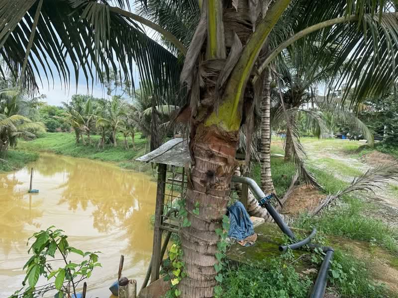 Tanah Pertanian untuk Dijual di Plentong (Johor) - Kelly Wai - Exterior - PropertyGuru.com.my