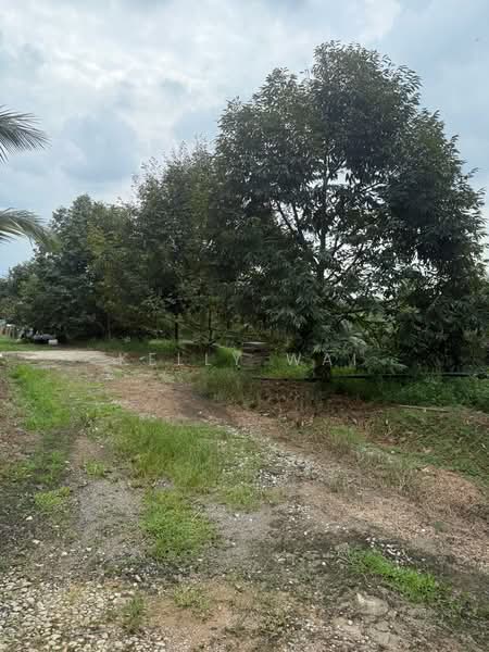 Tanah Pertanian untuk Dijual di Plentong (Johor) - Kelly Wai - Exterior - PropertyGuru.com.my