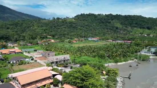 Tanah Pertanian untuk Dijual di Yan (Kedah) - Derrick Ng - PropertyGuru.com.my