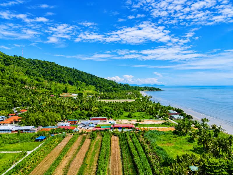 Tanah Pertanian untuk Dijual di Yan (Kedah) - Derrick Ng - Exterior - PropertyGuru.com.my