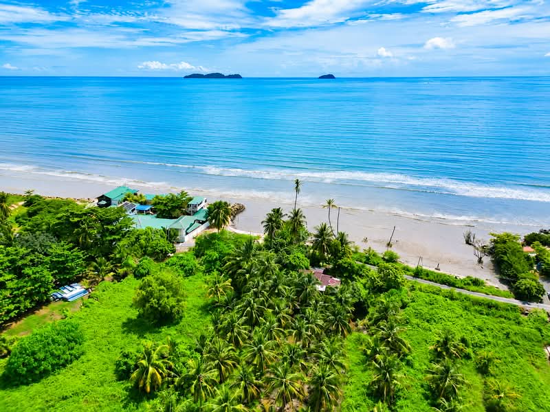 Tanah Pertanian untuk Dijual di Yan (Kedah) - Derrick Ng - Exterior - PropertyGuru.com.my