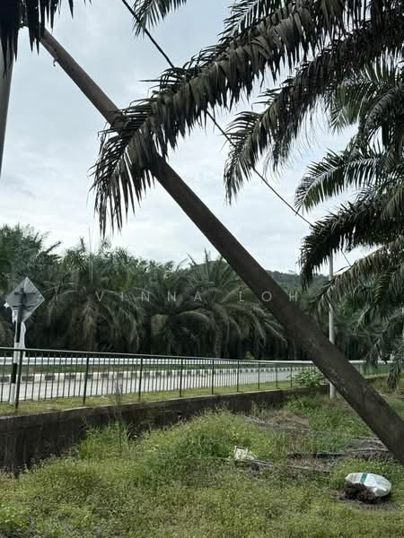 Agricultural Land for Sale in Pekan Nenas (Johor) - Vinna Loh - PropertyGuru.com.my