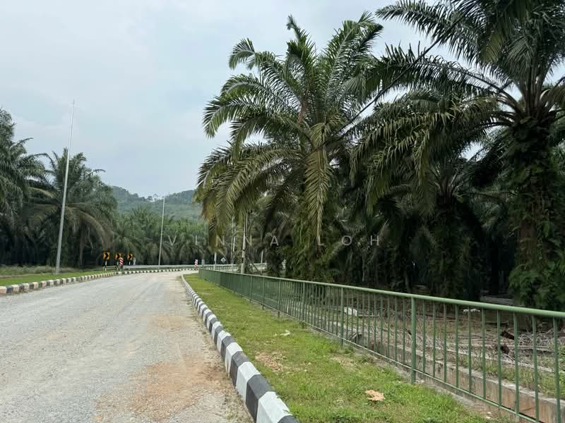 Agricultural Land for Sale in Pekan Nenas (Johor) - Vinna Loh - PropertyGuru.com.my