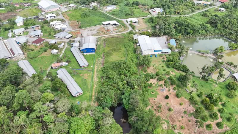 Lain-lain untuk Dijual di Kuching (Sarawak) - Sherene Kok - PropertyGuru.com.my