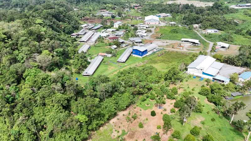 Lain-lain untuk Dijual di Kuching (Sarawak) - Sherene Kok - PropertyGuru.com.my