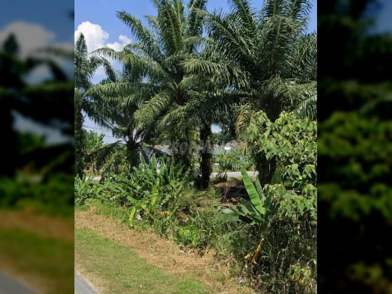 Agricultural Land for Sale in Banting (Banting) - Aida Ramli - PropertyGuru.com.my