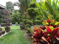 For Sale - Taman TAR (Tun Abdul Razak)