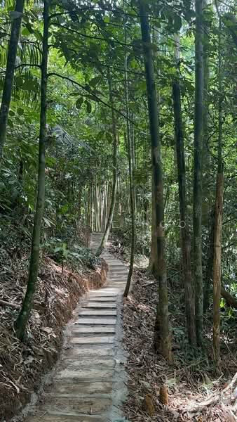 Residential Land for Sale in Bentong (Pahang) - Camie Hoo - Exterior - PropertyGuru.com.my