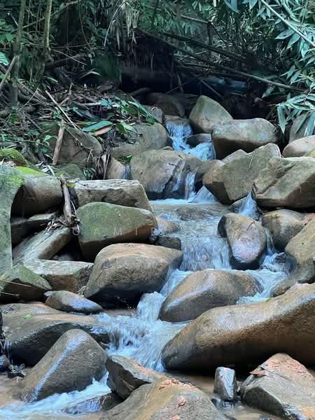 Residential Land for Sale in Bentong (Pahang) - Camie Hoo - PropertyGuru.com.my