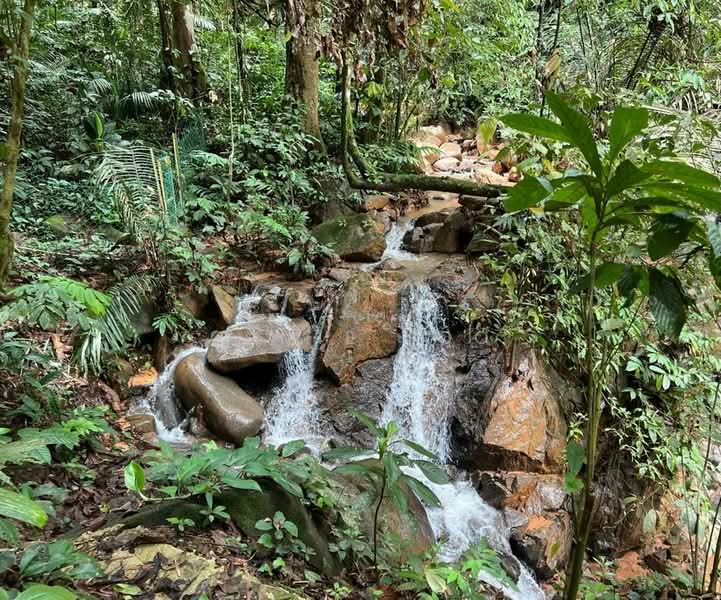 Residential Land for Sale in Bentong (Pahang) - Camie Hoo - Exterior - PropertyGuru.com.my