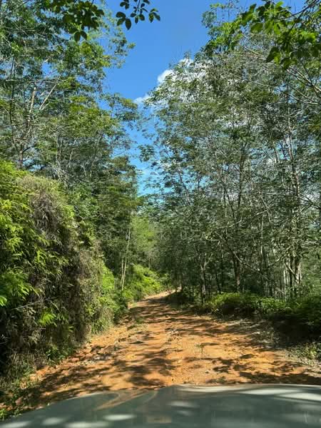 Agricultural Land for Sale in Gua Musang (Kelantan) - RK Kua - Exterior - PropertyGuru.com.my
