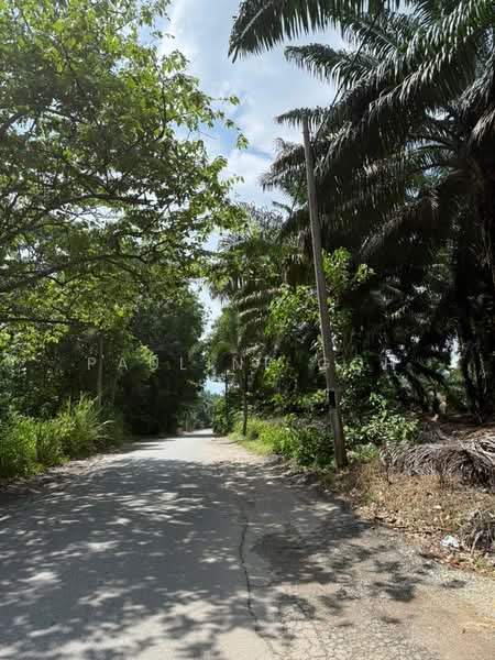 Agricultural Land for Sale in Simpang Renggam (Johor) - Pauline Goh - PropertyGuru.com.my