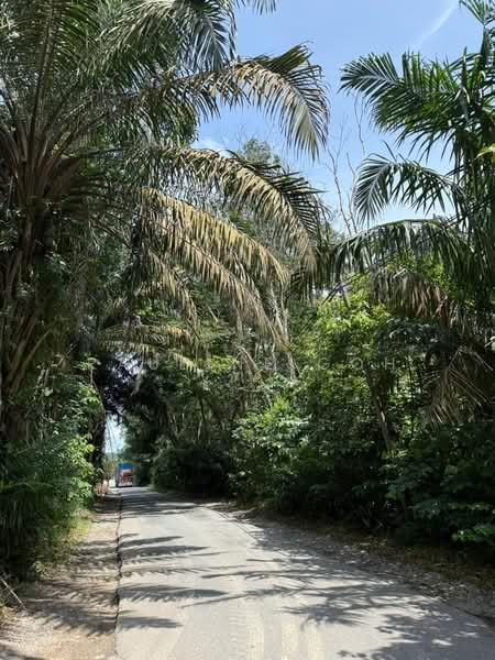 Agricultural Land for Sale in Simpang Renggam (Johor) - Pauline Goh - PropertyGuru.com.my