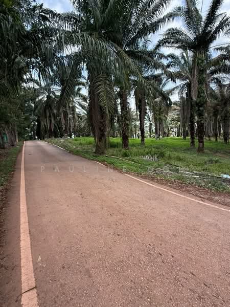 Agricultural Land for Sale in Simpang Renggam (Johor) - Pauline Goh - PropertyGuru.com.my