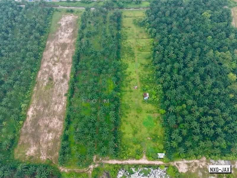 Tanah Pertanian untuk Dijual di Sungai Kapar Indah Industrial Park (Kapar) - Tom Lee - PropertyGuru.com.my