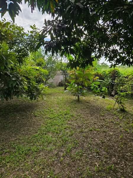 Rumah Banglo untuk Dijual di Alam Impian (Shah Alam) - Kevin Dass - Garden - PropertyGuru.com.my