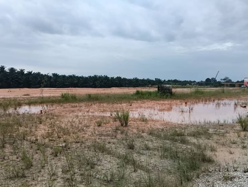 Tanah Pertanian untuk Disewa di Kampung Seelong Jaya (Senai) - Shi Ting - PropertyGuru.com.my