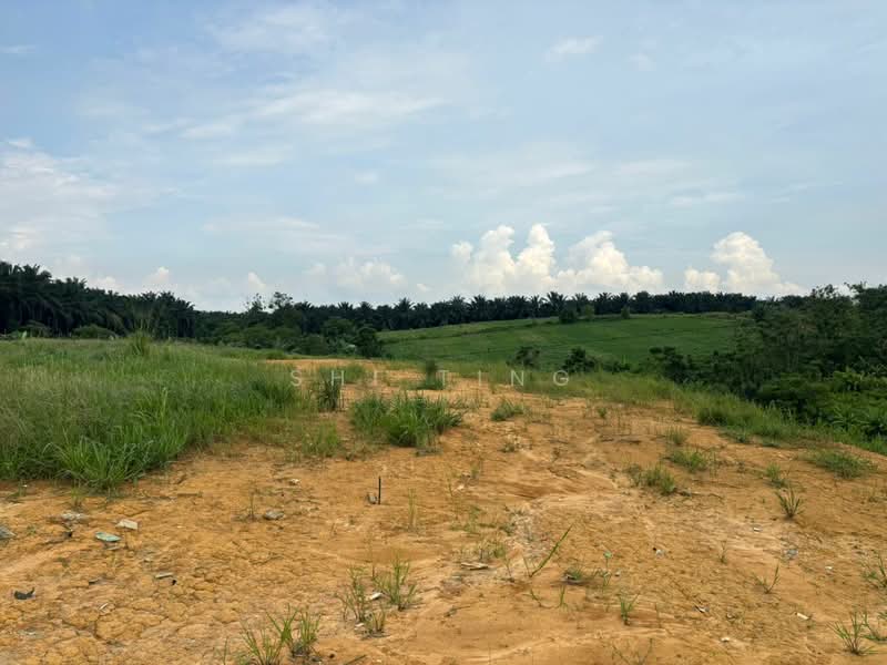 Tanah Pertanian untuk Dijual di Kampung Seelong Jaya (Senai) - Shi Ting - PropertyGuru.com.my