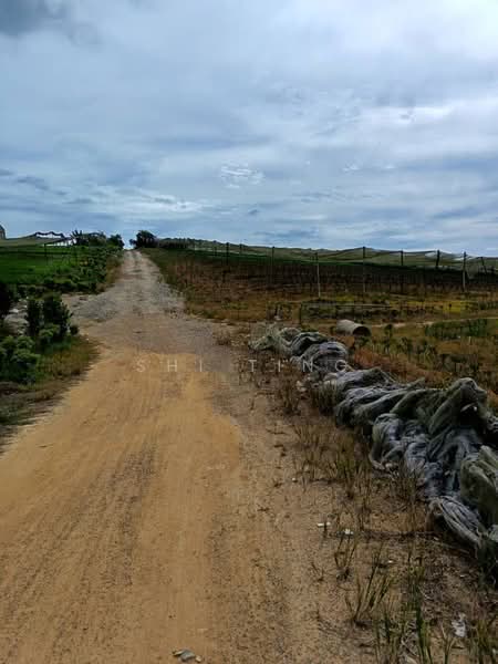 Tanah Pertanian untuk Dijual di Kampung Seelong Jaya (Senai) - Shi Ting - PropertyGuru.com.my