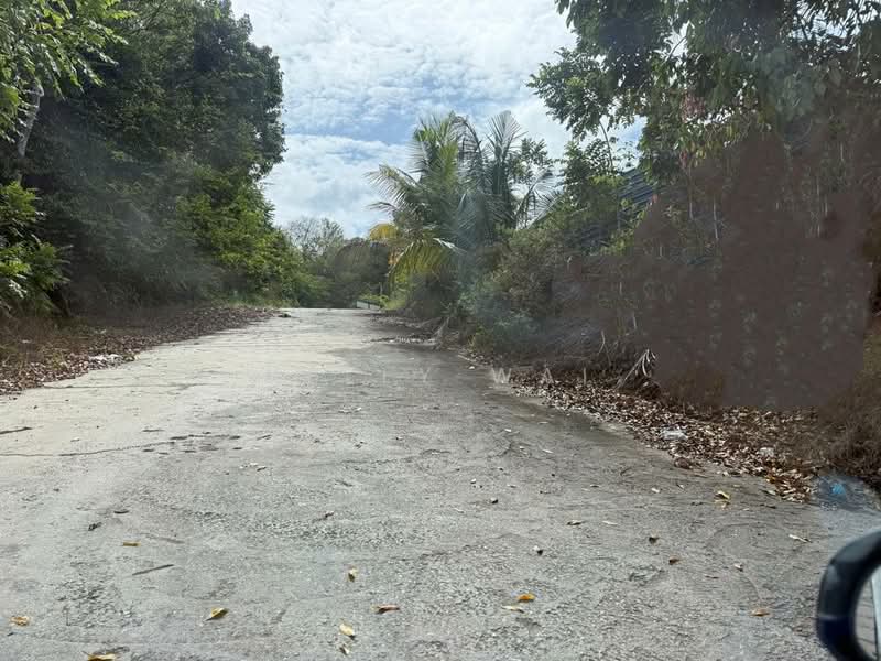 Tanah Pertanian untuk Dijual di Kampung Baru Seelong (Senai) - Kelly Wai - Exterior - PropertyGuru.com.my