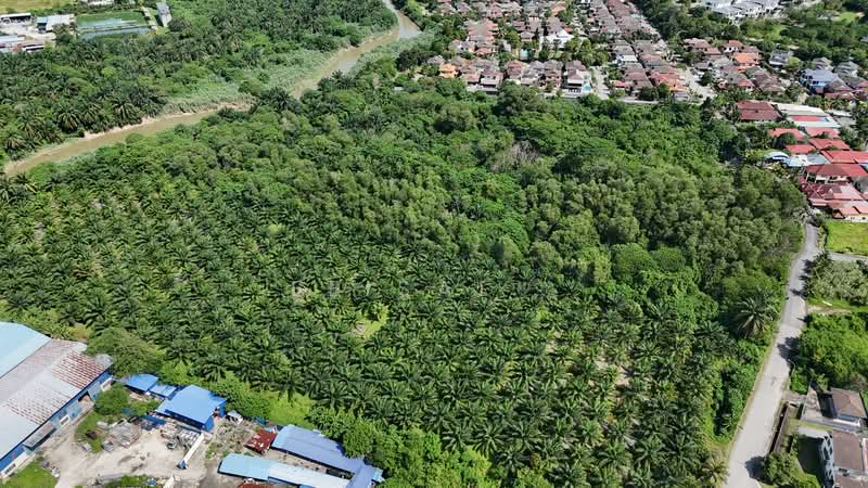Agricultural Land for Sale in Sungai Buloh (Selangor) - Feisal . - PropertyGuru.com.my