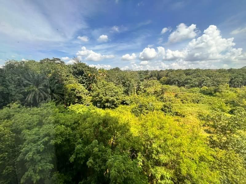Pangsapuri untuk Disewa di Senibong Cove - The WaterEdge Residences - Ben Lee - View - PropertyGuru.com.my