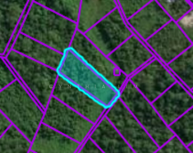 Tanah Pertanian untuk Dijual di Stakan (Kuching) - Cynthia Lim - PropertyGuru.com.my