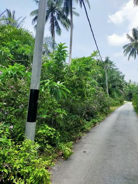 Agricultural Land for Sale in Balik Pulau (Penang) - Angie Ng - Exterior - PropertyGuru.com.my