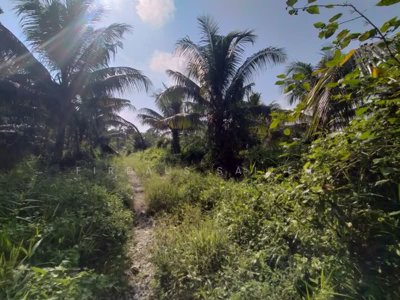 Agricultural Land for Sale in Kampung Rimba Terjun (Pontian) - Firdaus Salleh - PropertyGuru.com.my
