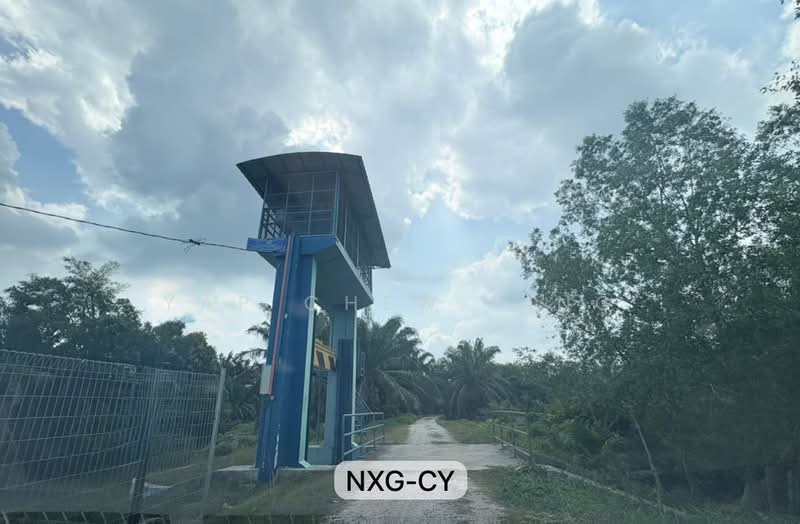 Tanah Pertanian untuk Dijual di Kuala Selangor (Selangor) - Yap Chew Ying - PropertyGuru.com.my