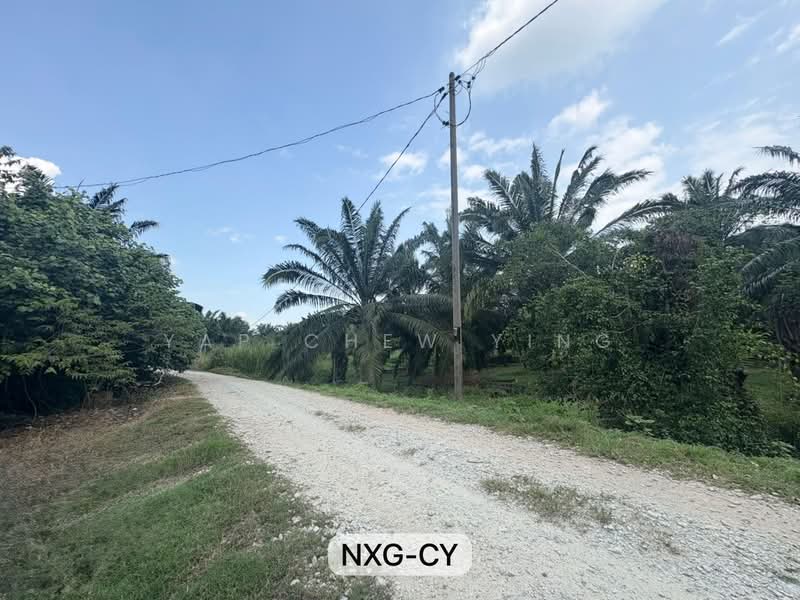 Tanah Pertanian untuk Dijual di Kuala Selangor (Selangor) - Yap Chew Ying - PropertyGuru.com.my