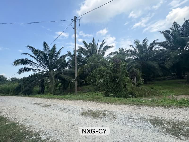 Tanah Pertanian untuk Dijual di Kuala Selangor (Selangor) - Yap Chew Ying - PropertyGuru.com.my