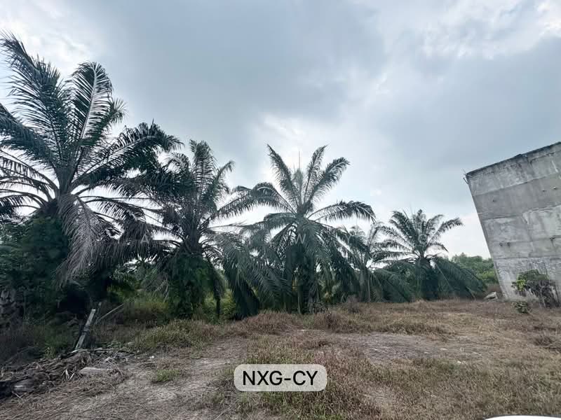 Tanah Pertanian untuk Dijual di Kuala Selangor (Selangor) - Yap Chew Ying - PropertyGuru.com.my