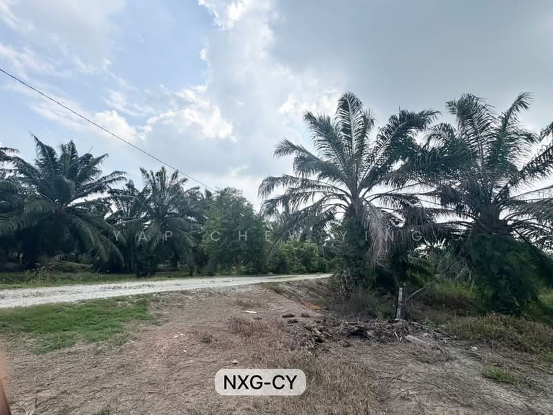 Tanah Pertanian untuk Dijual di Kuala Selangor (Selangor) - Yap Chew Ying - PropertyGuru.com.my