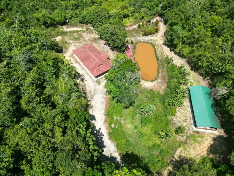 Tanah Pertanian untuk Dijual di Juasseh (Negeri Sembilan) - Mohd Faizal - Exterior - PropertyGuru.com.my