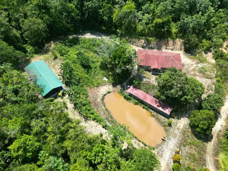 Tanah Pertanian untuk Dijual di Juasseh (Negeri Sembilan) - Mohd Faizal - Exterior - PropertyGuru.com.my