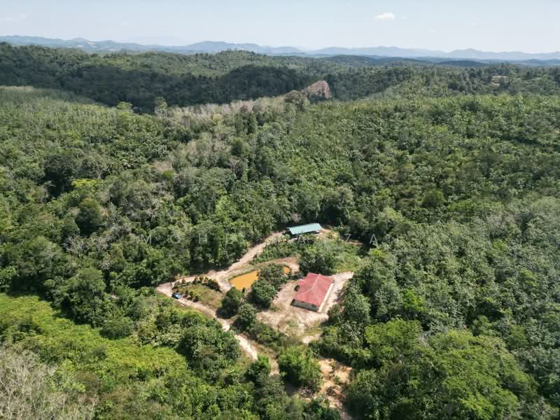 Tanah Pertanian untuk Dijual di Juasseh (Negeri Sembilan) - Mohd Faizal - Exterior - PropertyGuru.com.my