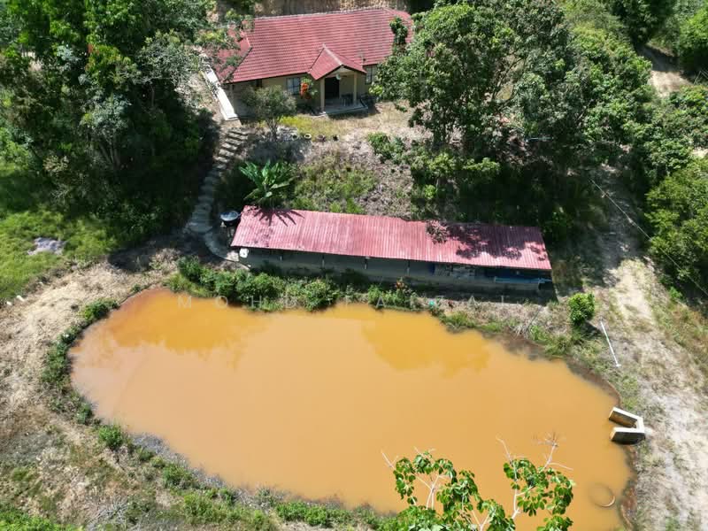 Tanah Pertanian untuk Dijual di Juasseh (Negeri Sembilan) - Mohd Faizal - Exterior - PropertyGuru.com.my