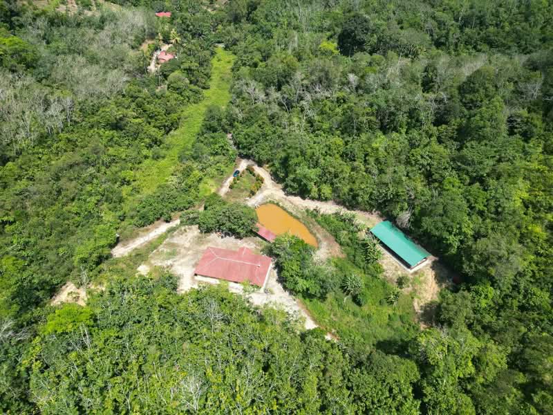 Tanah Pertanian untuk Dijual di Juasseh (Negeri Sembilan) - Mohd Faizal - Exterior - PropertyGuru.com.my