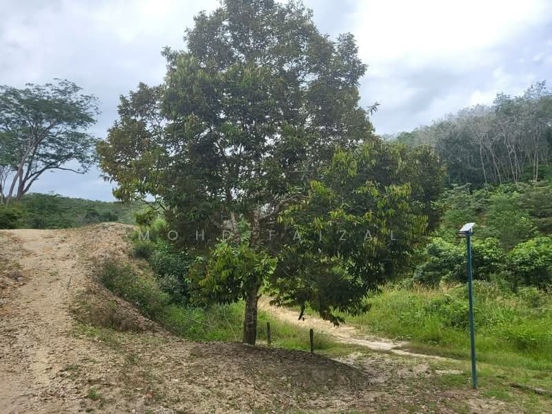 Tanah Pertanian untuk Dijual di Juasseh (Negeri Sembilan) - Mohd Faizal - Exterior - PropertyGuru.com.my