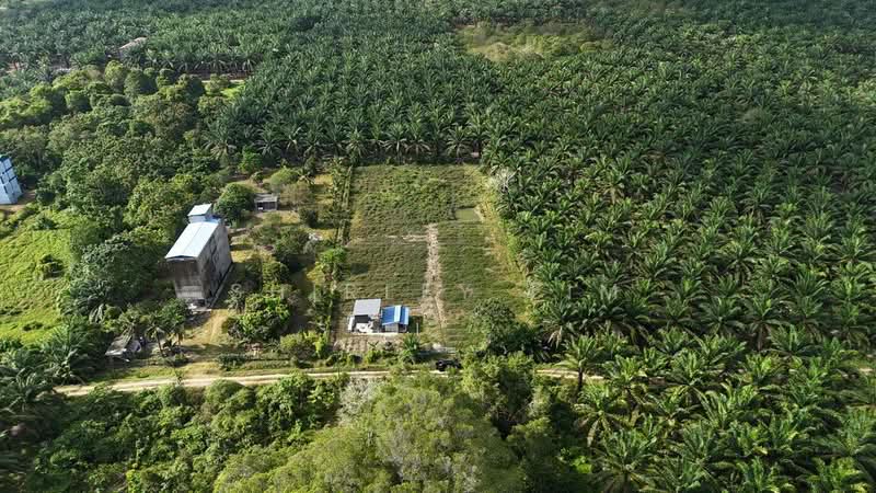 Agricultural Land for Sale in Kota Tinggi (Johor) - Shirley Lim - Exterior - PropertyGuru.com.my