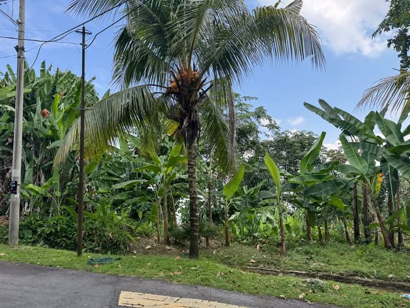 Tanah Kediaman untuk Dijual di Bukit Gasing (Petaling Jaya) - DANIEL . - PropertyGuru.com.my